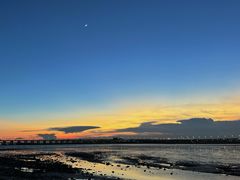 -宝安西湾红树林湿地公园