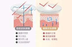 -E.beauty驻颜·痘敏肌调理中心