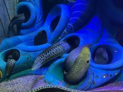 -亚龙湾海底世界