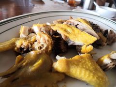 -八仔大富楼·河鲜(西江店)