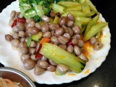 -新疆哈利德餐厅(紫薇都市店)