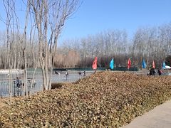 -仁和公园(顺义区)