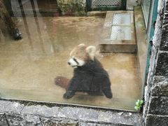 -柳州市动物园