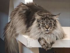 -天虹购物中心(深圳龙华店)