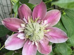 -斯多格书乡(北京大学畅春园店)