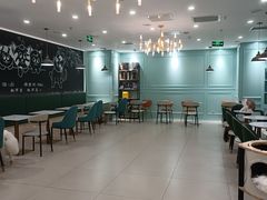 -安格丽娜·狗咖·猫咖羊驼咖(春熙路百盛商场店)