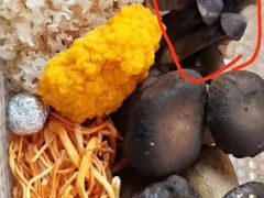 -鲜菌江湖正宗野生菌火锅