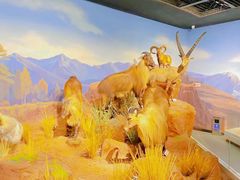 -陕西自然博物馆