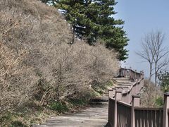 -武汉姚家山旅游景区