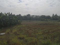 -开平碉楼文化旅游区马降龙景区