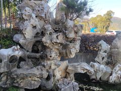 -呼吸森林·生态农庄农家乐私房菜