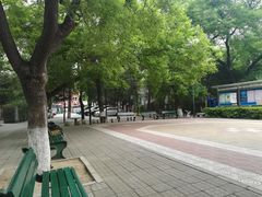 -北京大学燕东园