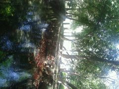 android_upload_pic-水磨沟公园