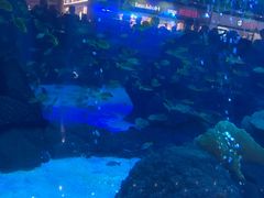 -成都浩海立方海洋公园