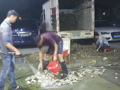-蚝专家(北滘店)