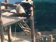 -大连森林动物园