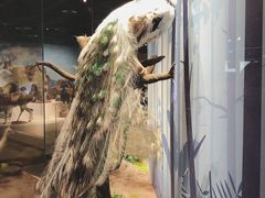 -陕西自然博物馆