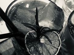 -胡桃里音乐酒馆(东区店)