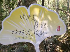 -大慈岩风景区