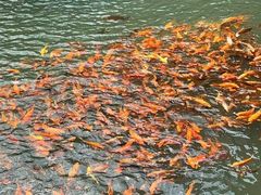 -楠溪江风景名胜区