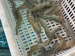 -双福水果批发市场
