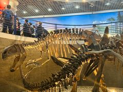 -国家自然博物馆