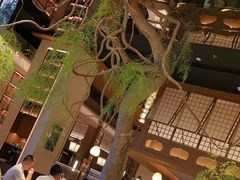 -桂满陇·海市蜃楼·黑金(国金店)