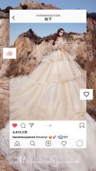 -Renee芮亦婚纱(原丽莎)