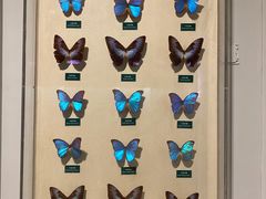 -陕西自然博物馆