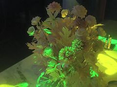 -方糖KTV-PLUS(世茂广场店)