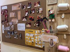 -滚猫咖啡·猫咖·猫友好撸猫(未来城店)