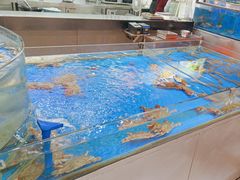 -永红源啤酒·烧烤·海鲜·大排档(台柳路店)