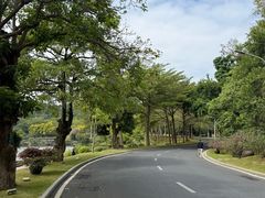 -南宁荔园维景国际酒店·荔园中餐厅