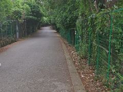 -雨花胜境