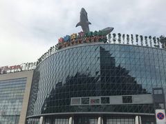 -成都浩海立方海洋公园