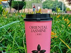 -茉莉奶白(天水秦州万达广场店)