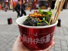 -黑色经典臭豆腐·湖南特产(坡子街店)