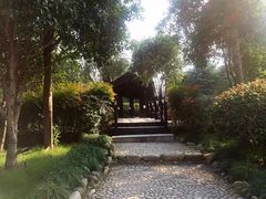 -三江森林温泉度假区