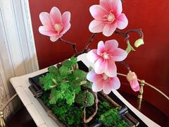 -香丰阁·烤鸭·川湘菜(清河店)