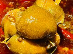 -二荆条·蜀鲜汇城市森林火锅