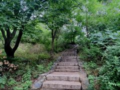 -香山公园