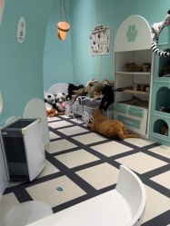 点击看大图 -奈尔宝·儿童乐园·亲子餐厅(苏州大悦城店)