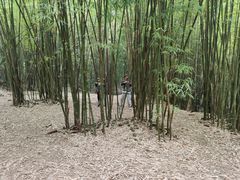 -富乐山
