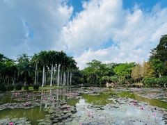 -中国科学院西双版纳热带植物园