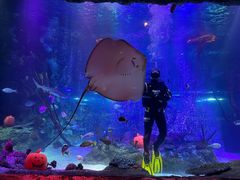 -沈阳海洋探索中心