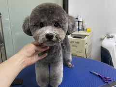 -创凡宠物医院·骨专科  猫科中心(西乡分院)