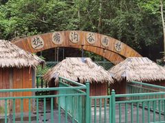 -西双版纳原始森林公园