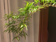 -蘇锦宴·淮扬菜烤鸭·小院(三元桥霄云路店)