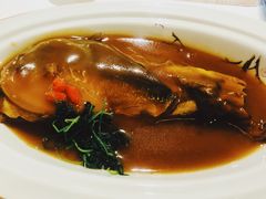 红烧豚鱼-肆月河豚·新淮扬(金融街店)