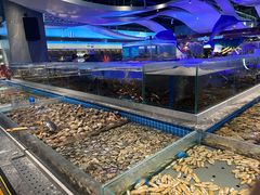 -一方渔歌蒸汽海鲜自助(文化路万达广场店)